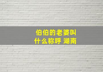 伯伯的老婆叫什么称呼 湖南